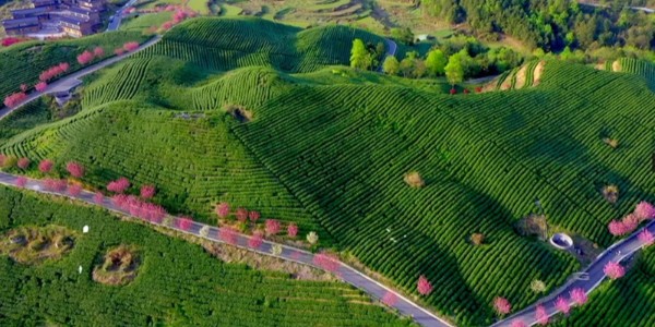 貴陽(yáng)市建筑設(shè)計(jì)院帶你秒懂全域土地綜合整治